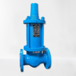 Back Pressure Holding Valves