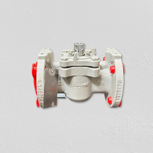 Plug_Valve_40NB-2