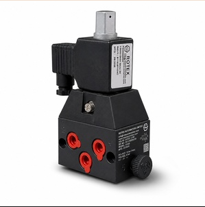 Rotex Solenoid Valve 51400